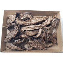 2022 강원도 강릉 자연산 건조 능이버섯 (건능이 말린능이), 일반포장, 100g (20g 5팩, 5개