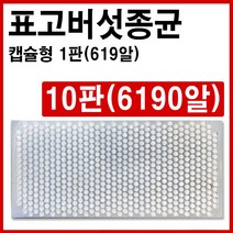 [표고버섯종균(606알 캡슐형) 10판] 접종형 성형 버섯 종균 표고 버섯 느타리 종균 참나무, 표고버섯종균(606알 캡슐형) 10판