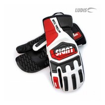 루디스 [루디스] National Team 알파인 스키 스노보드 레이싱용 가죽 장갑 LGM4012, 선택완료