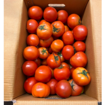 국낸산 못난이 찰토마토 5kg 찰토마토5kg 토마토 찰토마토 완숙토마토 방울토마토 과일 대저토마토 토마토5kg 완숙토마토5kg tomato 찰 못난이, 1박스