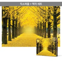 1000피스 직소퍼즐+액자세트 - 황금빛 은행나무 길 2 (액자포함), 단품, 단품