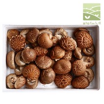 유기농 장흥 참나무 생표고버섯 1kg 배지 원목 특상 가정용 못난이 표고버섯, 유기농 생표고버섯 (배지)특상 1kg, 1개