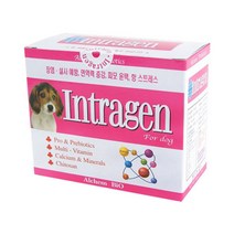 인트라젠 플러스 30p 분말형