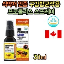 캐나다 비 프로폴리스 고함량 구강 입내새 제거 부모님 작장인 청소년 생활 활력