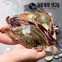 국내산 싱싱한 급랭 제철 가을 숫꽃게 알배기 암꽃게 전문, 국내산 급냉 절단 꽃게500g