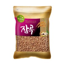 현대농산 수입 찰수수 5kg, 1개