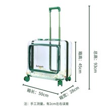 고양이가방 백팩 이동장 외출 애완견 방수 여행 캡슐, H