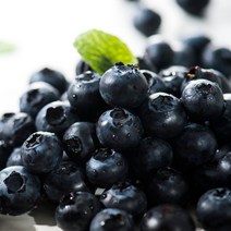 수입산 생 블루베리 125g x2팩, 2개