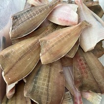 국내산 반건조 참가자미 1kg 내외, 국내산 반건조 참가자미 중 850g내외 (6-8마리)