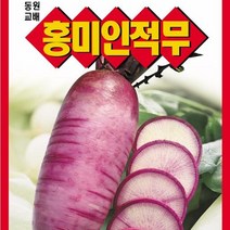 [가람종묘사] 홍미인적무 씨앗(안토시아닌 함량이 높은 기능성 웰빙 빨강무 품종)