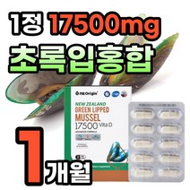 초록입 홍합 추출물 99% 고함량 뼈 건강 식품 영양제 뼈에좋은 식품 음식 초록 그린 녹색 푸른 입 잎 GREENLIPPEDMUSSEL 비타민 D 디 스테아린산 마그네슘 60대