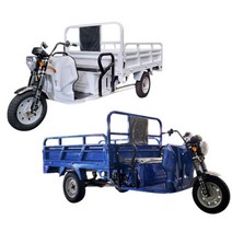 전기 화물 오토바이 농업용 시골 덤프 전동차 전기스쿠터, 흰색