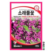 소래풀꽃 500립 / 씨앗 야생화씨앗 소래풀꽃씨앗, 1개