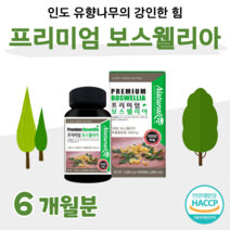 하루 1정 간편하게 섭취 프리미엄 보스웰리아 인도 보스웰릭산 울금 초록 홍합 상어 연골 아연 부모님 시어머니 시아버지 선물 홈쇼핑 영양제 성분 가격 효능 비교, 6개월, 1000mg x 60정 (하루 한알)