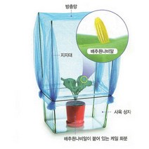 배추 흰나비 기르기(사각수조.알케일.지지대.모기장)