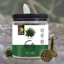 자연선물 와송 환 250g 국내산 100% 자연산 와송 자연환경 토종 노지 와송 바위솔 기와솔 본연의 영양 건강환 자연주의