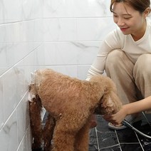버박 강아지약용샴푸 고양이샴푸 푸들 비숑 샴푸 3종, 앨러밀 샴푸