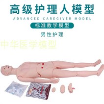 심폐소생술 연습 교육자료 인형 모형 모양 인공호흡, 노인 남성 간병인 (중요 장기 포함)
