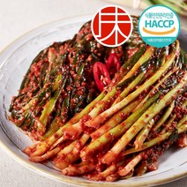 [미친김치] 당일제조 매운 파김치 / 우리 농산물 전라도김치, 2kg