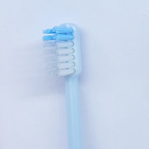 라이온 교정칫솔 모음전(당일발송 치과판매상품 R U T P타입 오소돈틱), 10개, U타입