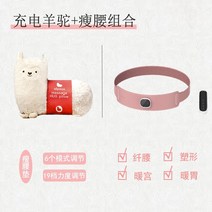 알파카 쿠션마사지기 온찜질 온열 생리통 허리 다리 종아리 목안마기 인형 여자친구 선물, 알파카 마사지기 + 벨트 (충전식)