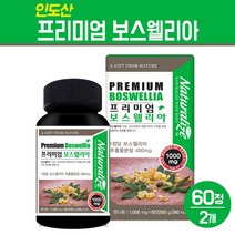 프리미엄 보스웰리아 추출물 분말 캡슐 인도산 보스엘리아 정 알약 타입 무릎 관절 연골 고함량 보스웰릭산 뉴질랜드 초록잎홍합 상어연골 가루 비타민D 해조 칼슘 건강 보조 식품, 2box, 보스웰리아 정 60개입