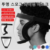 방호용 렌즈 마스크 페이스 고글마스크 김서림 투명방호마스크, 그레이*1