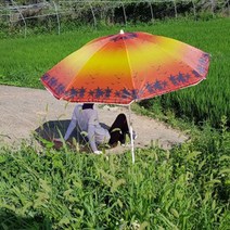 BYF097849심플 비치 파라솔/낚시 파라솔/간편파라솔, 옐로우비치