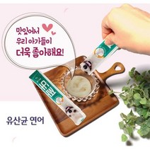 유산균 연어 짜먹는 반려견간식 오메가3 유산균간식, 상세페이지 참조