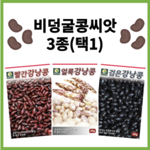 주주씨앗 비덩굴 강낭콩 씨앗 3종 / 얼룩 강낭콩 검정 강낭콩 빨강 강낭콩 / 왜성종 얼룩이 콩 종자 씨 검은색 검은 비넝쿨 키작은, 검은강낭콩30g, 1개