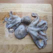정말 통통한 생물!! 통통 알 쭈꾸미 1kg ( 8~10미 내외) 고소함의 끝판왕 신선 배송