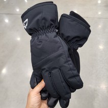 알파인 스키 장갑, M