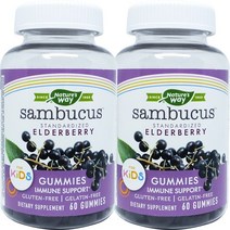 Natures Way 네이쳐스웨이 어린이 엘더베리 삼부커스 60구미 2병, 60정