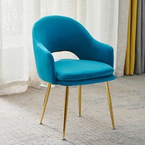 북유럽 예쁜 식탁 화장대 카페 벨벳 인테리어 의자, 스카이 블루-황금 다리