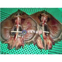 반건조 간재미 말린 간재미 1마리 간자미 간제미 건조생선 손질생선, 반건간재미 ×2마리