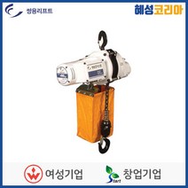 쌍용리프트 단상 호이스트 DU-901A, 1개