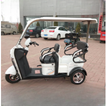 소형 버스 전기 자동차 세발 자전거 성인 오토바이 배터리 4 륜차 전기자전거, 800W+60V35A Chaowei 납산 배터리 + 차