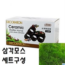 [신세계수족관] 이스타 CRS 모스활착 은신처 L +삼각모스 1덩이