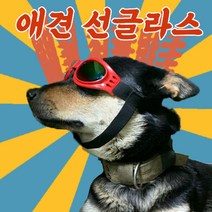 도매창고 강아지 선글라스 애견 고글 강아지악세사리 수경 애견악세서리 도글라스, 일반형 애견 선글라스 -레드, 1개