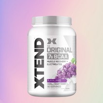 뉴 엑스텐드 BCAA 아미노산 비씨에이에이 90서빙 글레이시얼 그레이프 한국 독점판