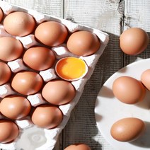 한스팜 난각번호 2번 업체직송 동물 복지 계란 코스트코 달걀 40구 케이지프리