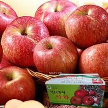 [충주사과] [한터] 4.5kg (9-11과), 상세 설명 참조, 상세 설명 참조