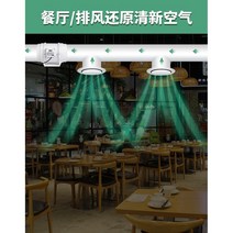 시로코팬 산업용 환풍기 업소 흡입기 먼지 시로코휀 공업용 화장실 환기 욕실 환기팬, 10인치 250MM 구경 (더블 스피드)