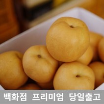 [특등급선별] 배 7.5kg 감기에좋은음식 기침멈추는법 가래없애는방법 과일 배즙 배차 배즙효능 배가격 과일배 먹골배 배주스 사과배 배음료 서생배 과일 신선한 프리미엄 백화점 업소용