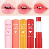 리르 모이스처 틴트립밤 촉촉한립밤 혈색립밤, 선택/립밤_코랄