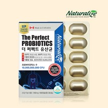 학생 노인 유산균 100억 보장 60캡슐 포스트바이오틱스 유산균 캐나다 듀폰다니스코 유산균, 2개