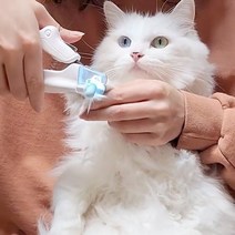 [바보사랑]코펫 반려동물 LED 멍냥 발톱깎이-디뷰코리아1, 색상:블루