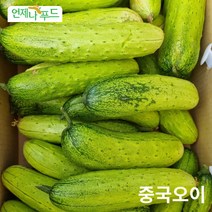 [언제나푸드] 중국오이 중국식품 노지재배 신선오이 생산자직배송 5개단위, 5개