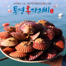 통영 신선한 제철 홍 가리비 가을캠핑 집들이 음식 조개찜 조개구이 파스타 1키로 30-40미, 2kg(50-60미)