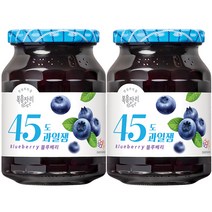복음자리 45도 블루베리잼 350gX2개, 2개, 350g